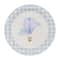 9" Blue Hot Air Balloon & Gingham Dinner Plates, 10ct. by Celebrate It™